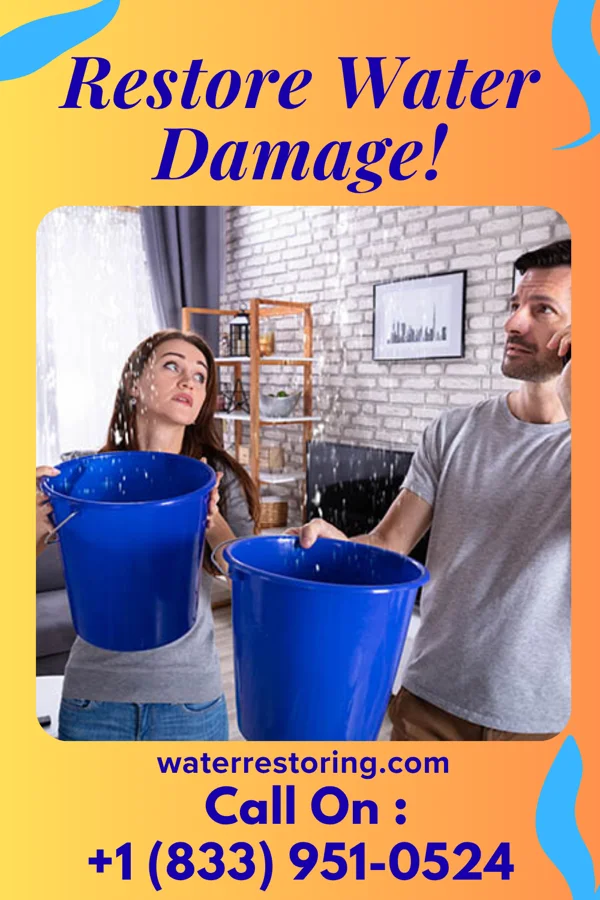 water restoration Empire Damage Restoration Co Alexander