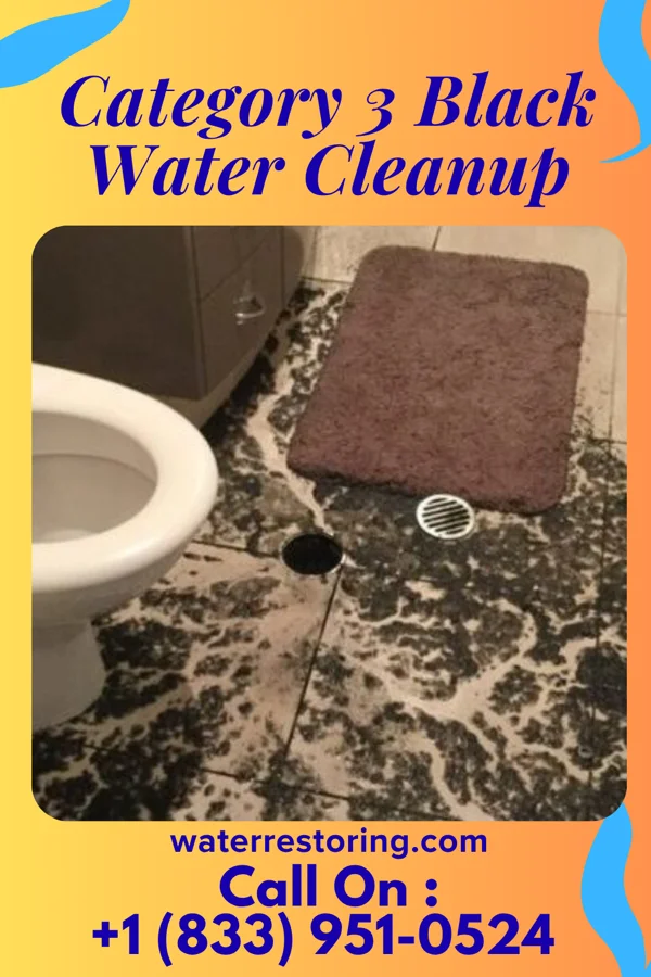 Category 3 Black Water Cleanup in Alexander, IA