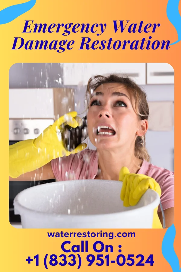 Emergency Water Damage Restoration in Alexander, IA